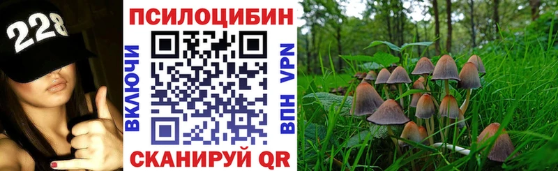 Купить  Мариинский Посад  Псилоцибиновые грибы мицелий 